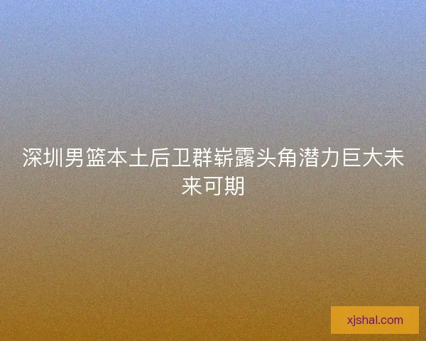 深圳男篮本土后卫群崭露头角潜力巨大未来可期 深圳男篮本土后卫群崭露头角潜力巨大未来可期